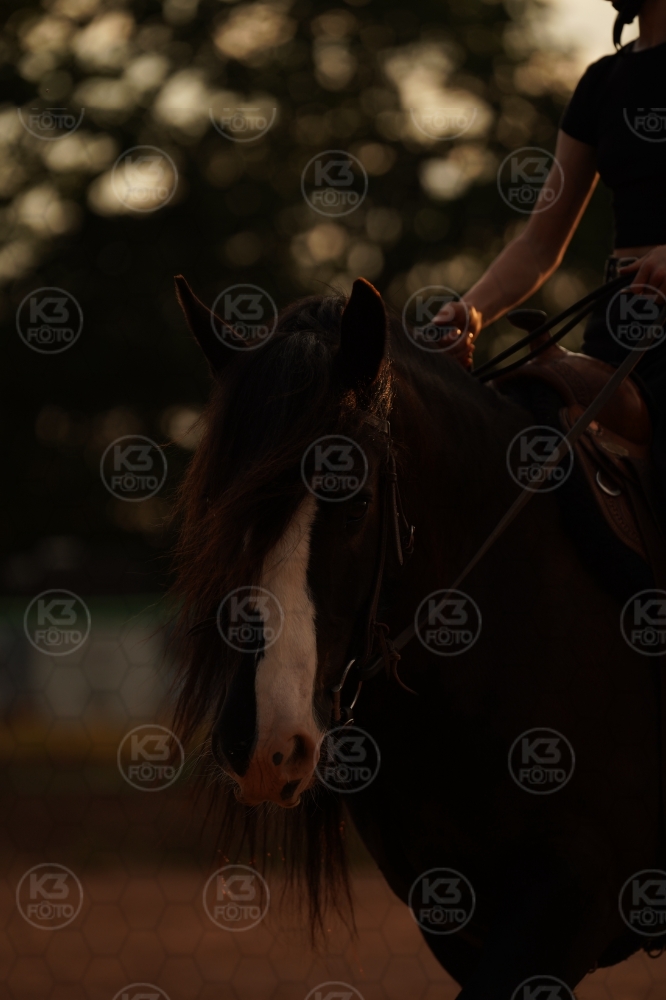 s_A9_03173.jpg
